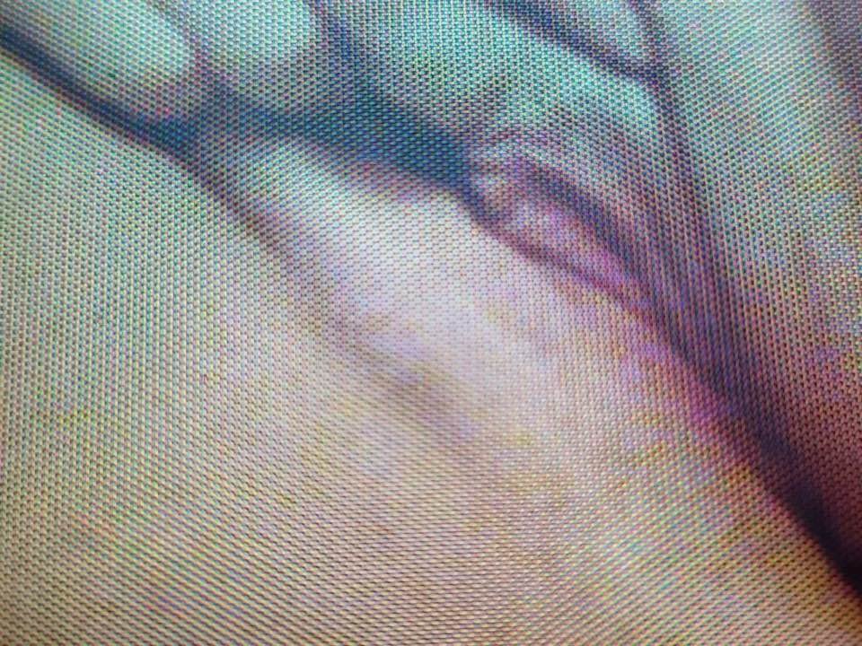 Husbands Screen Grabs of 36yo Slut Wife Els #tfPyCapq